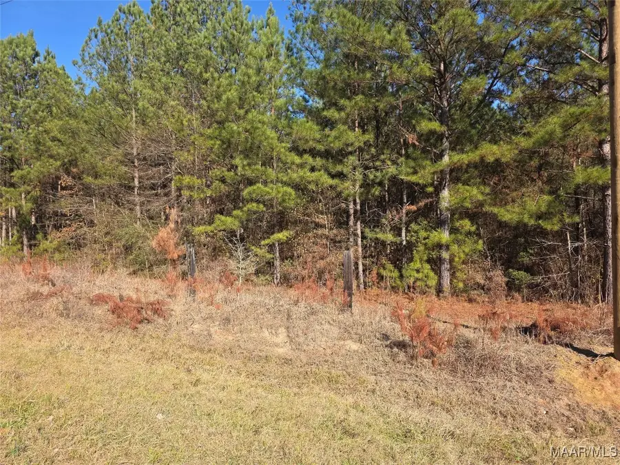 0 Amber Road, Shorter, AL 36075 - Image #3