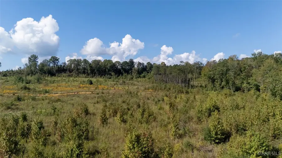 730 County Road 534 Road, Verbena, AL 36091 - Image #3