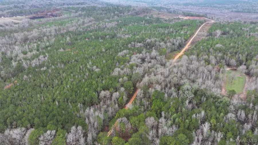 18919 Rifle Range Road, Tallassee, AL 36078 - Image #3