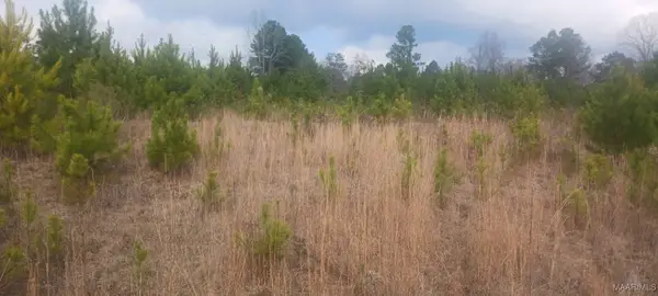 60 County Road 494, Verbena, AL 36091