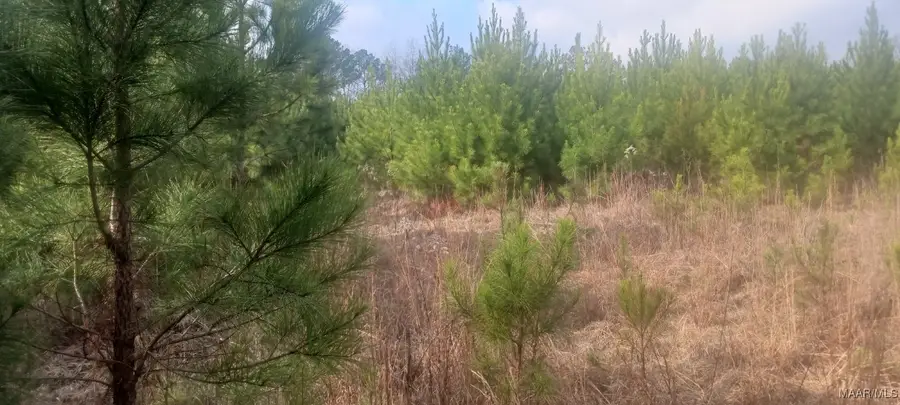 60 County Road 494, Verbena, AL 36091 - Image #2