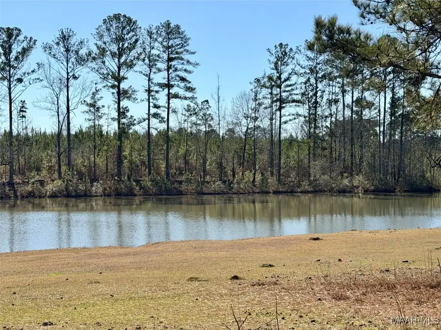 00 Tower Road, Rockford, AL 36026 - #2