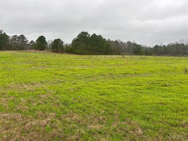 0 County Road 37, Lot 1, Clanton, AL 35045