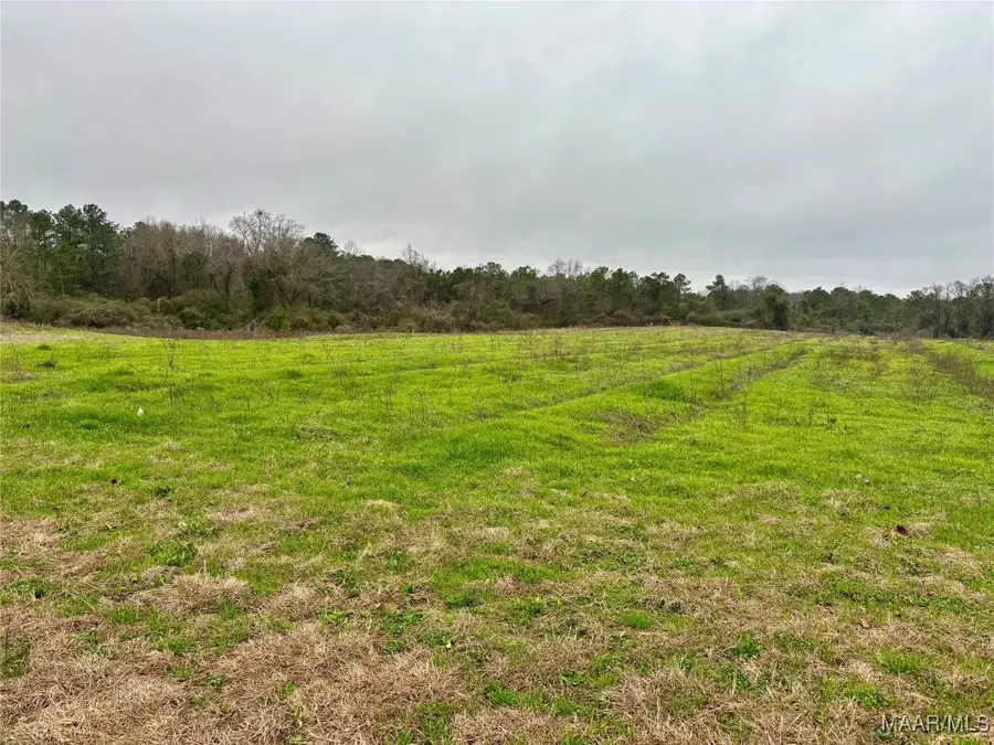 0 County Road 37, Lot 1, Clanton, AL 35045 - Image #3