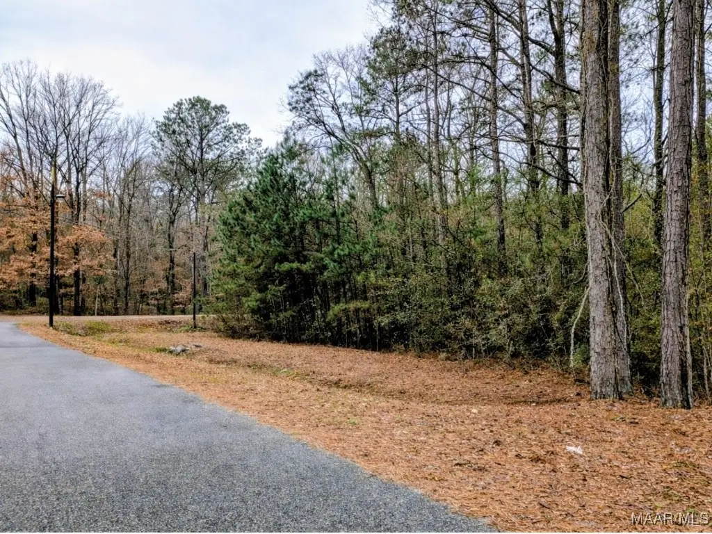Lot 0 Noble Road, Tallassee, AL 36078 - Image #1