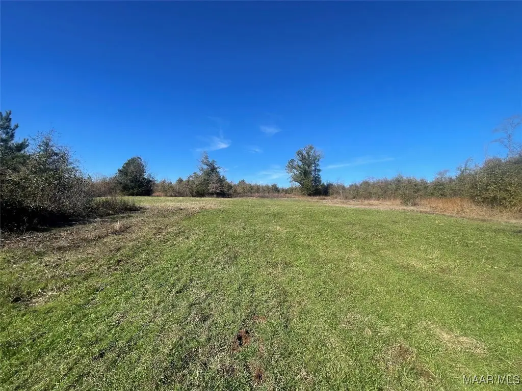 . Highway 219, Sprott, AL 36756 - Image #1