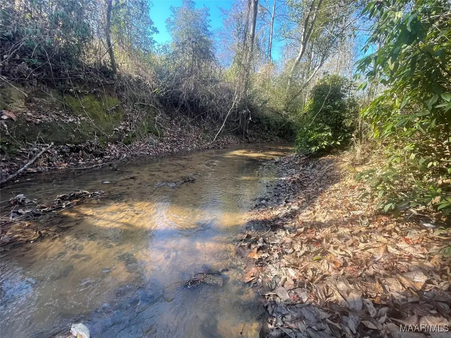 . Highway 219, Sprott, AL 36756 - Image #3