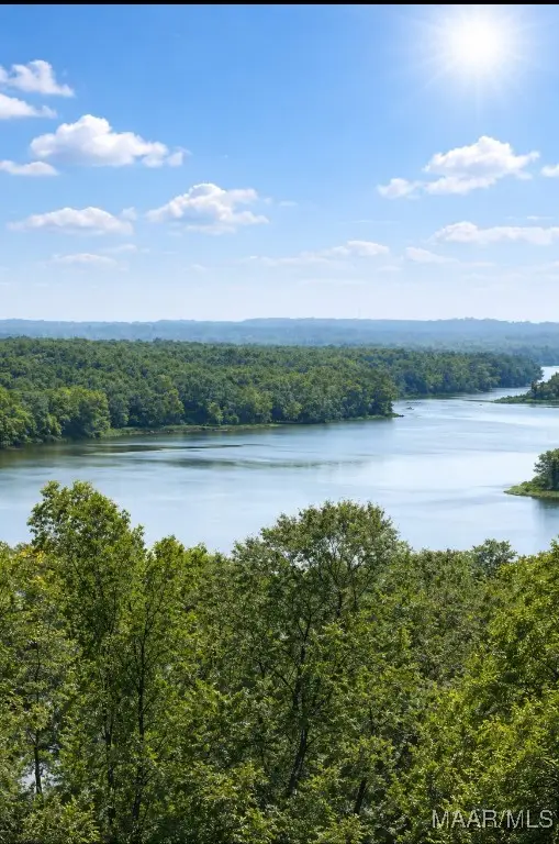 3 Prairie Bluff Drive, Catherine, AL 36728