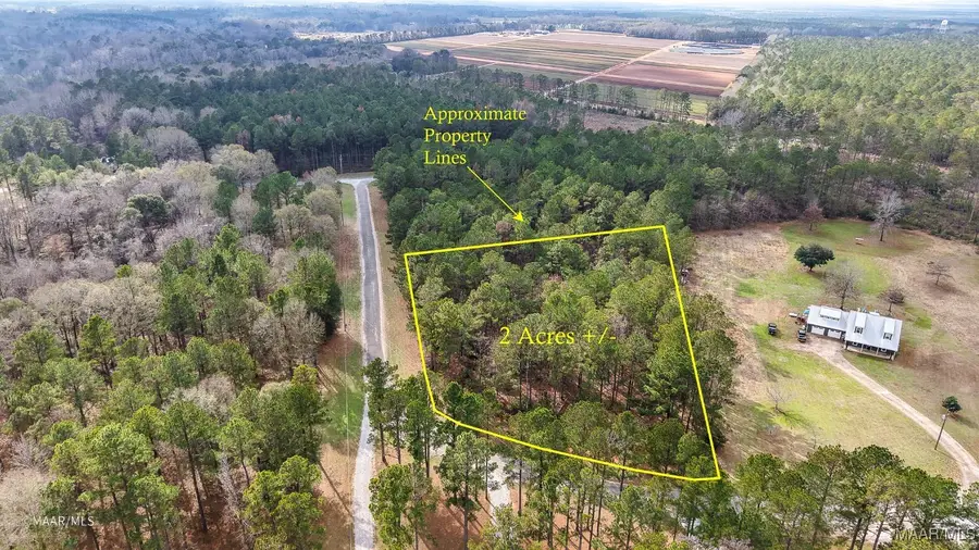 31 & 31A Riverview Landing, Camden, AL 36726 - #3