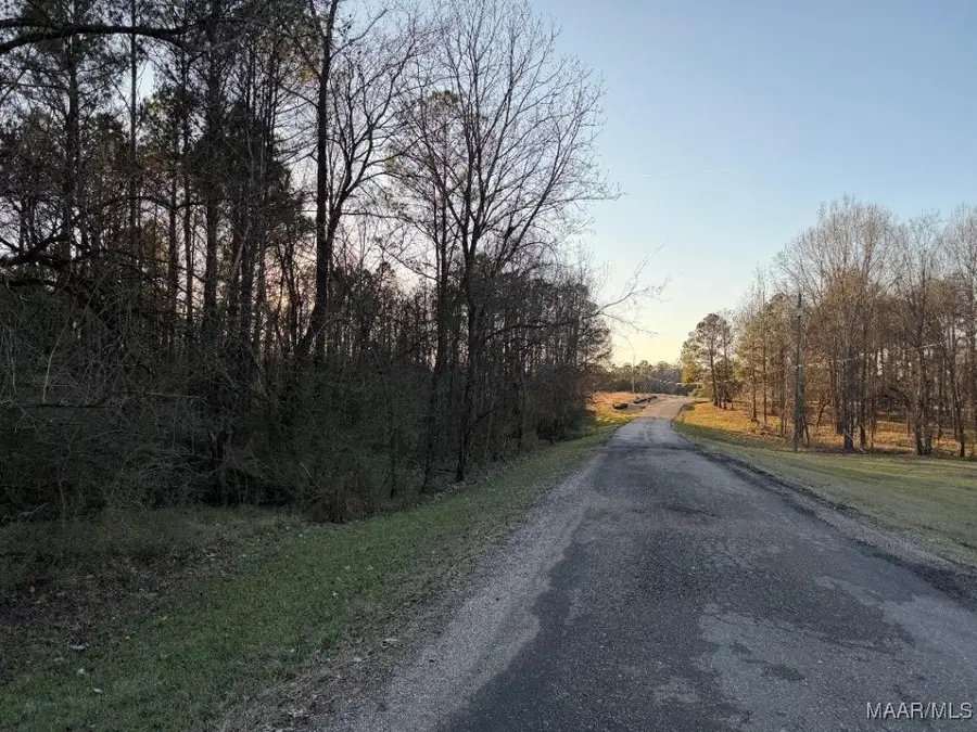 0 Hayneville Ridge Road, Mathews, AL 36052 - Image #2