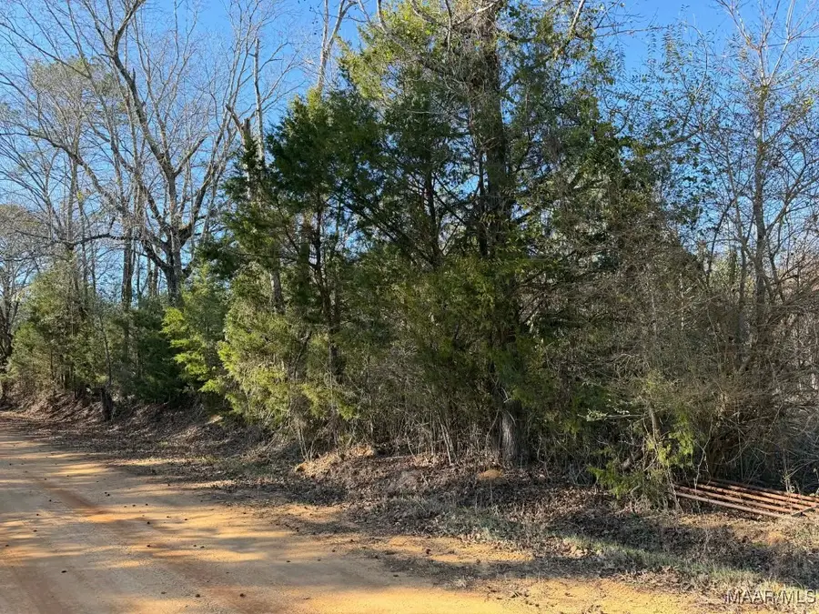 0 W Sprague Junction Road, Ramer, AL 36069 - Image #2