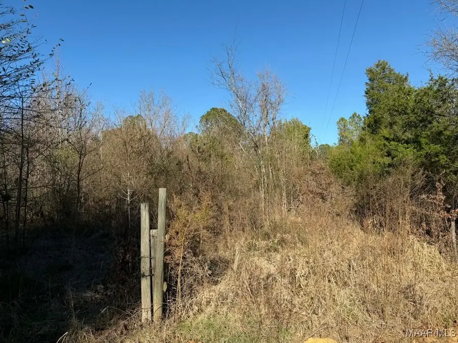 0 W Sprague Junction Road, Ramer, AL 36069 - Image #3