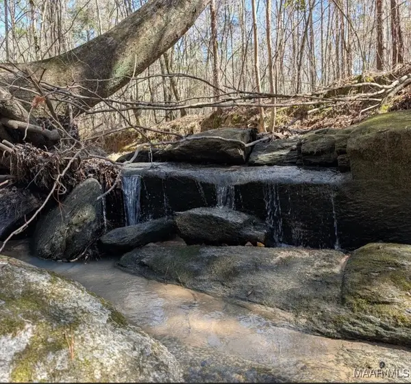 000B Georgia Road, Eclectic, AL 36024