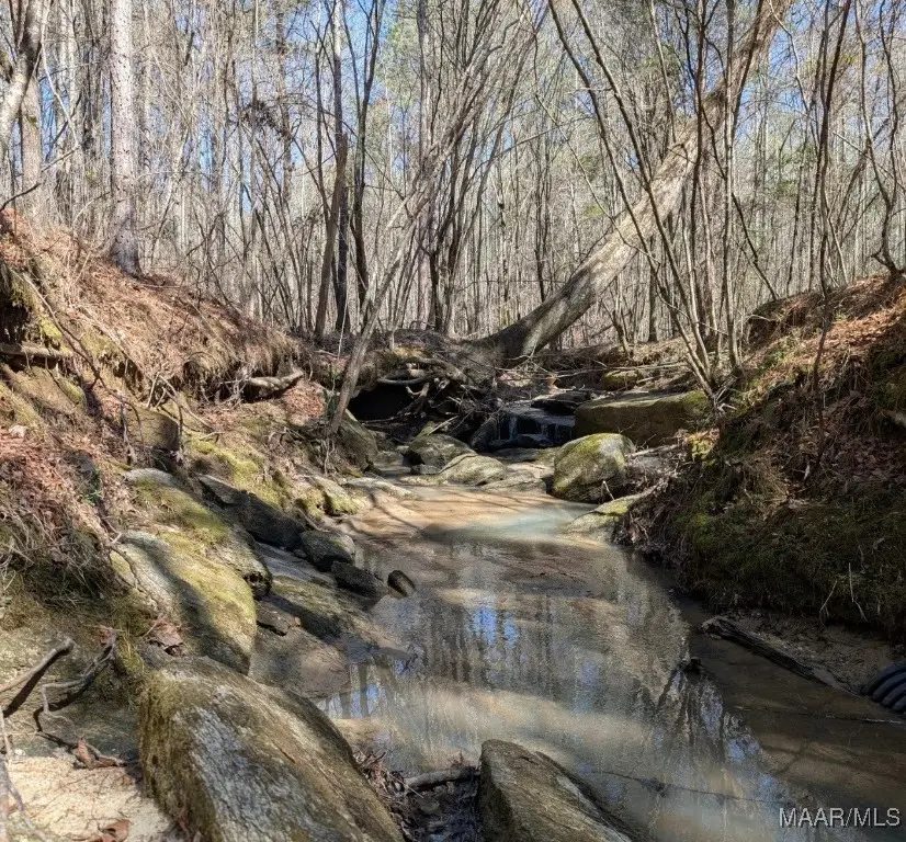 000B Georgia Road, Eclectic, AL 36024 - Image #2