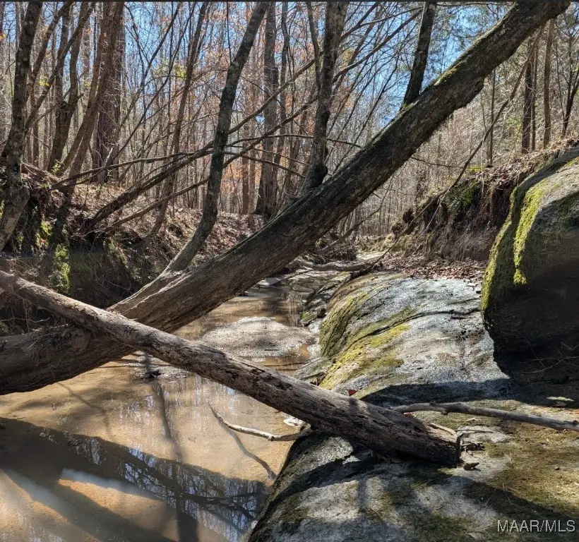 000B Georgia Road, Eclectic, AL 36024 - Image #3