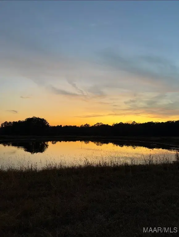 80702 Tallassee Highway, Eclectic, AL 36024 - Image #3