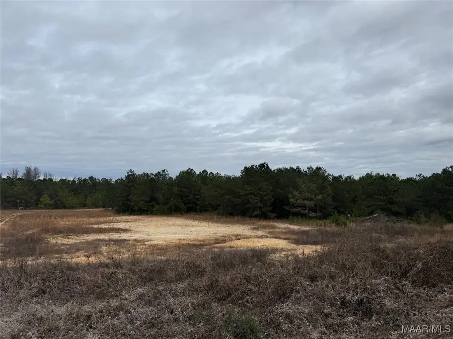 14091 Highway 80 E, Pike Road, AL 36064 - #3