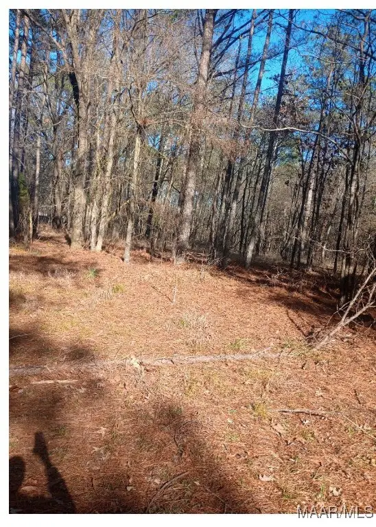 437 Hayneville Ridge Road, Mathews, AL 36052