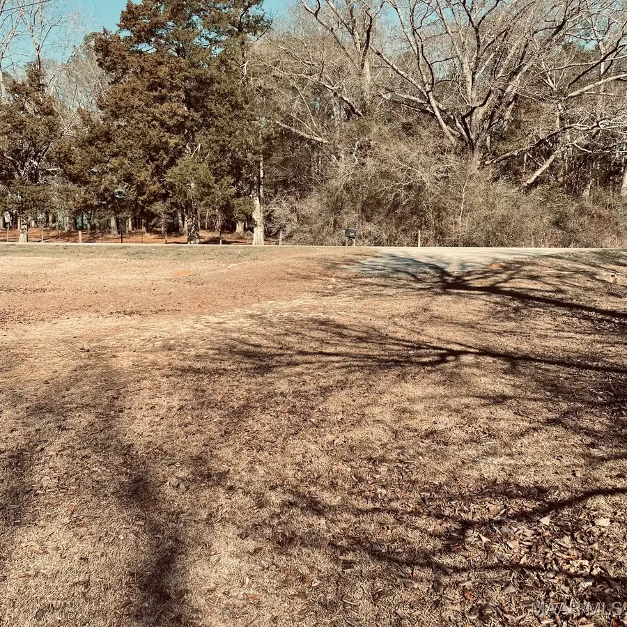 5983 Highway 141, Elba, AL 36323 - Image #3