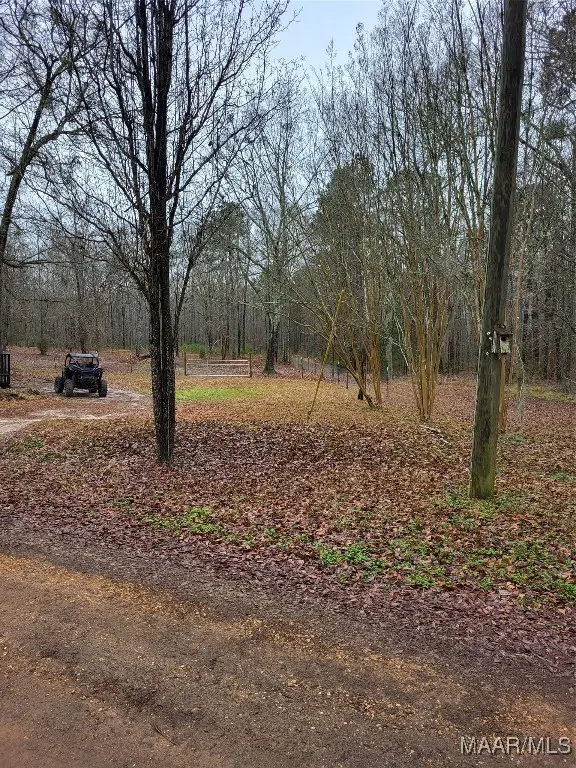 799 Pine Tuckett Road, Hope Hull, AL 36043 - Image #2