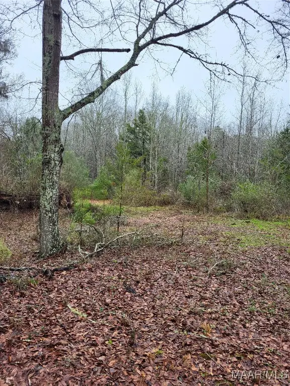 799 Pine Tuckett Road, Hope Hull, AL 36043 - Image #3