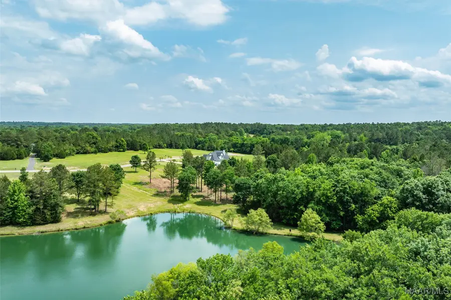 Lot 9 Leahmon Lane, Mathews, AL 36052 - Image #2