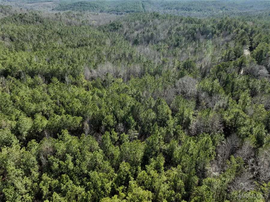 57 Pryor Bottom Road, Marion, AL 36756 - Image #2