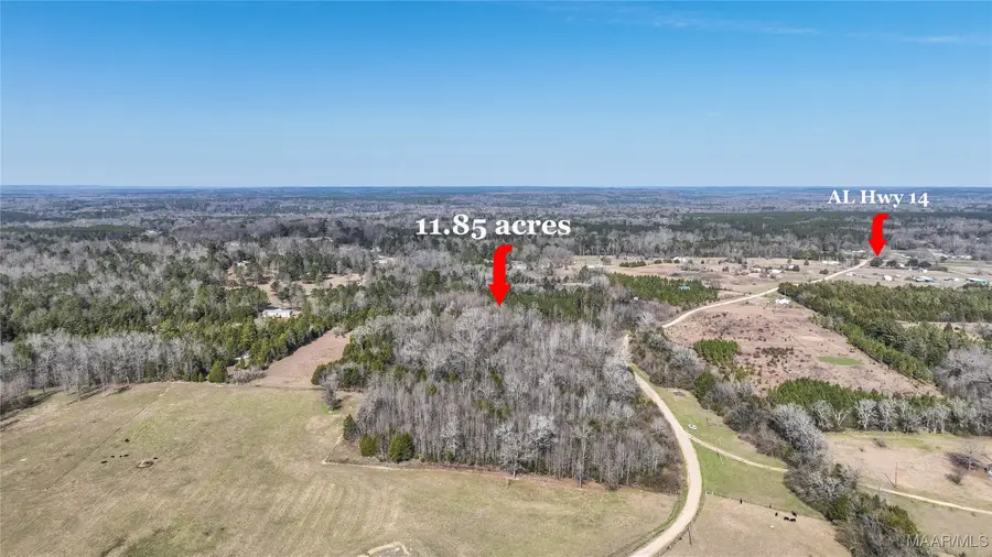 0 Highway 14 W, Valley Grande, AL 36701 - Image #3