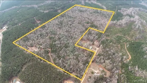 373 Peachtree Road, Greenville, AL 36037 - #3