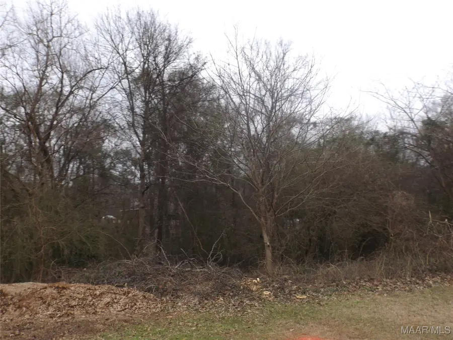 1506 White Cloud Drive, Deatsville, AL 36022 - #3