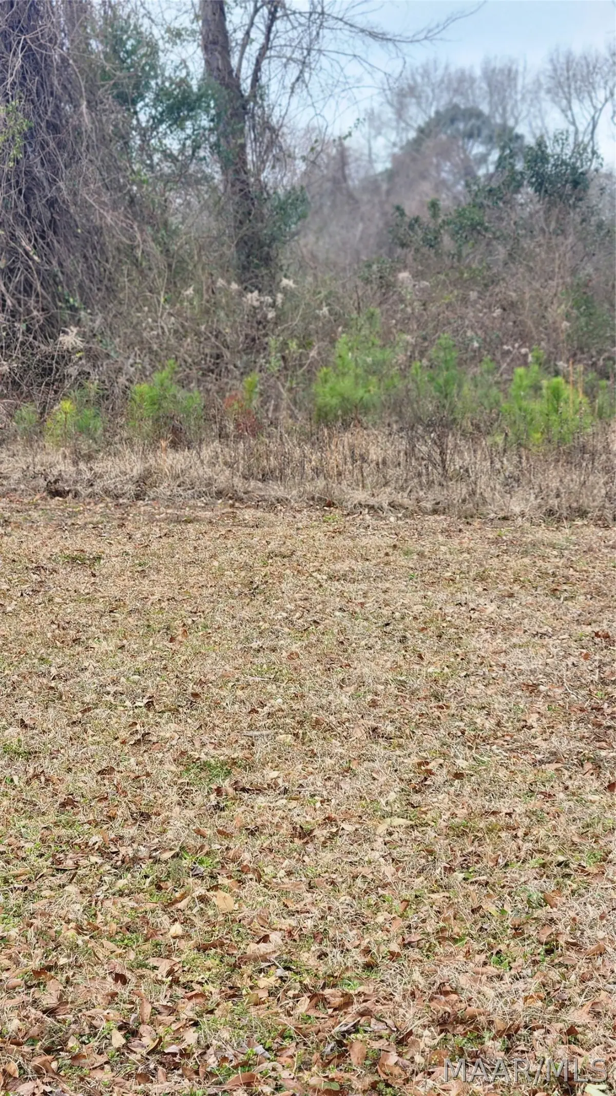 000 Bibb Street, Tuskegee Institute, AL 36088 - #1