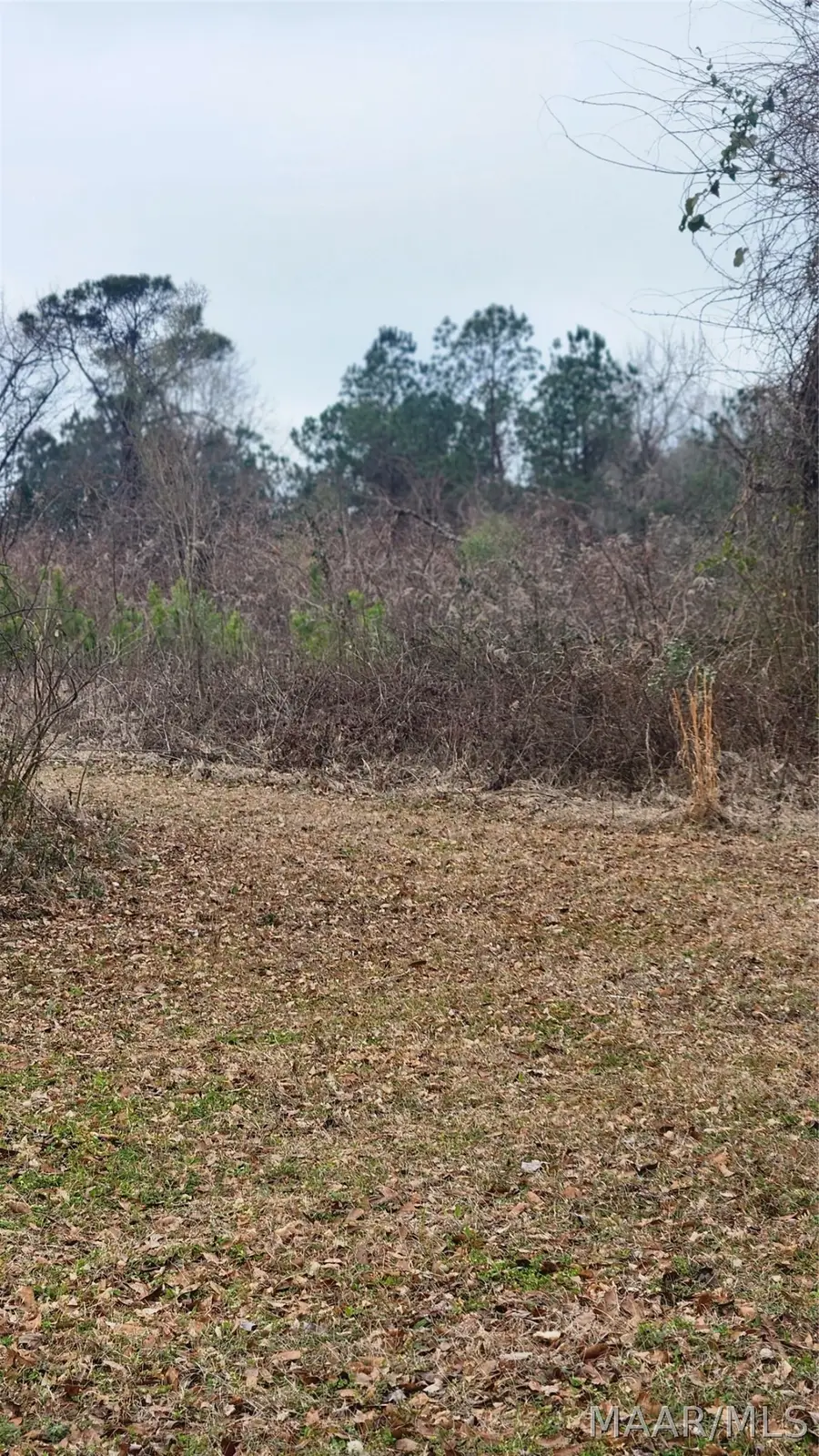 000 Bibb Street, Tuskegee Institute, AL 36088 - #2