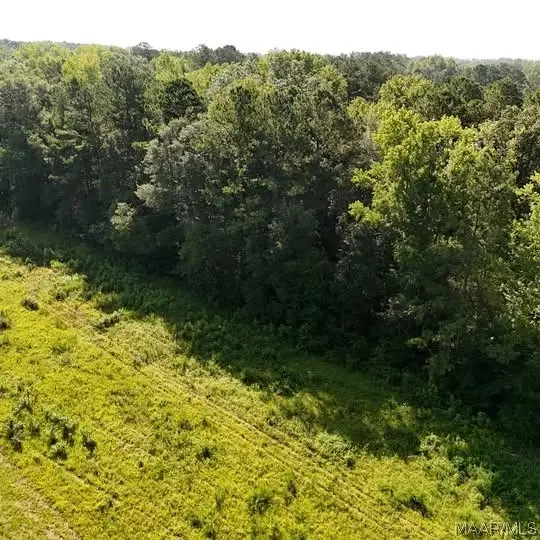 0 Us Highway 31, Verbena, AL 36091 - #3