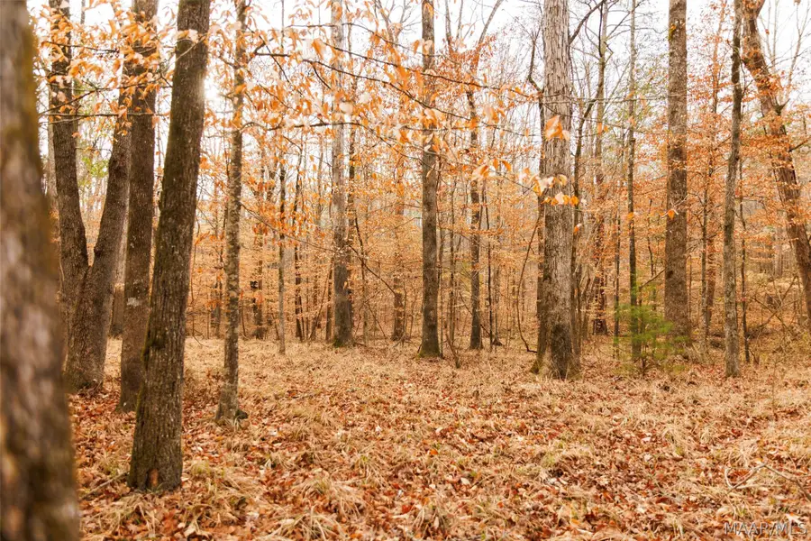 570 Jug Factory Road, Redland, AL 36093 - #2