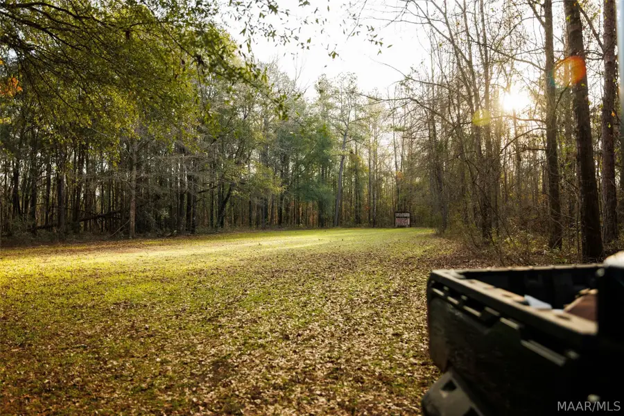 570 Jug Factory Road, Redland, AL 36093 - #3