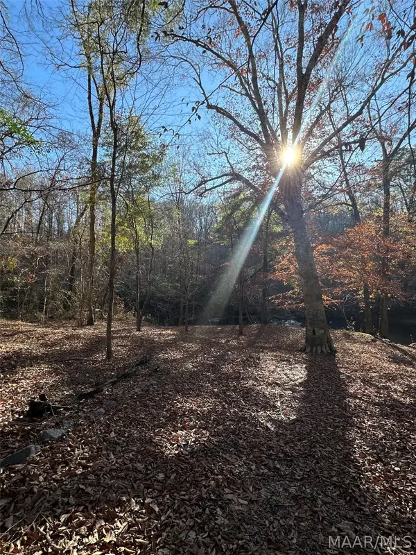 0 County Road 432, Titus, AL 36080