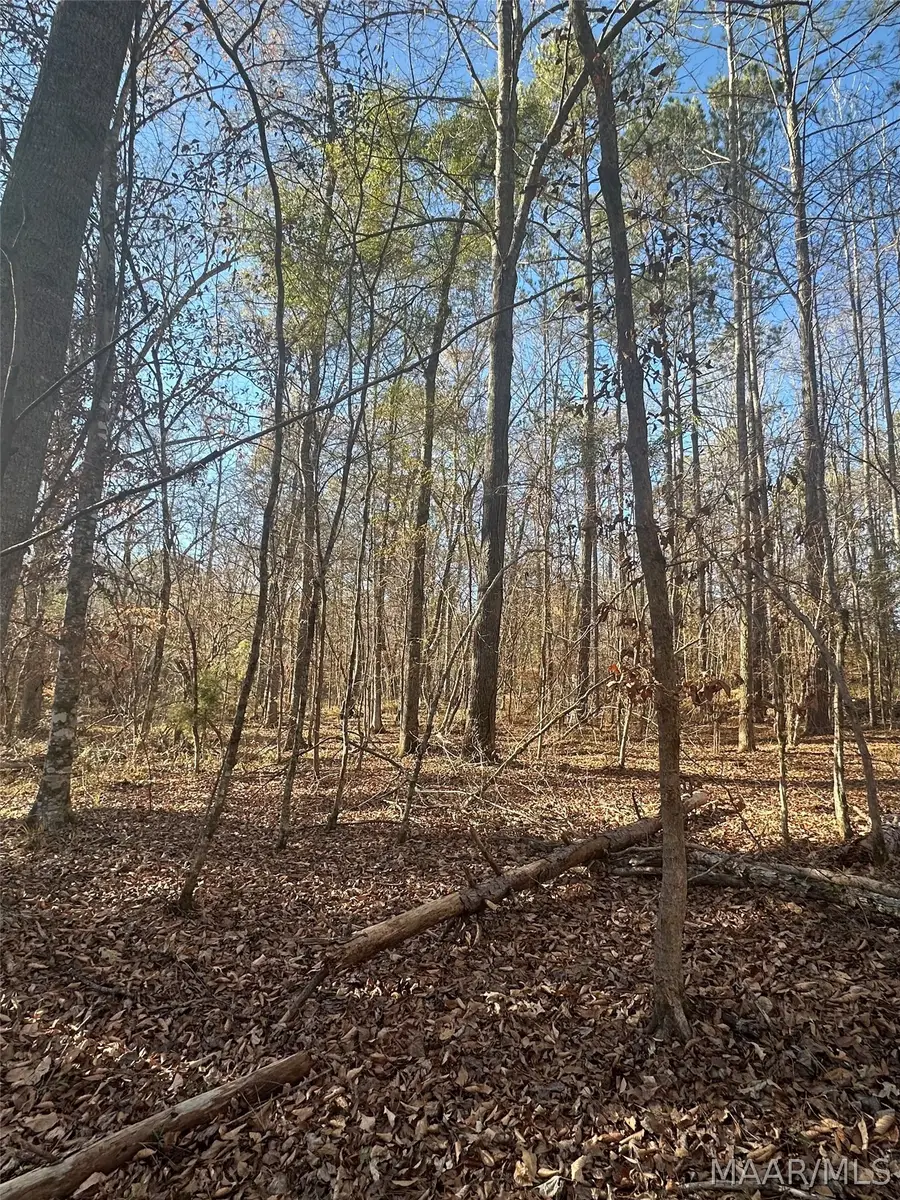 0 County Road 432, Titus, AL 36080 - #3