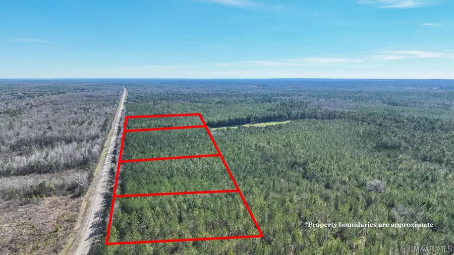 2 Highway 82, Mathews, AL 36052 - #2