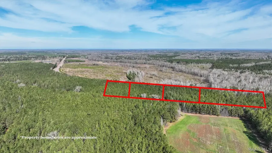 10 Highway 82, Mathews, AL 36052 - #3