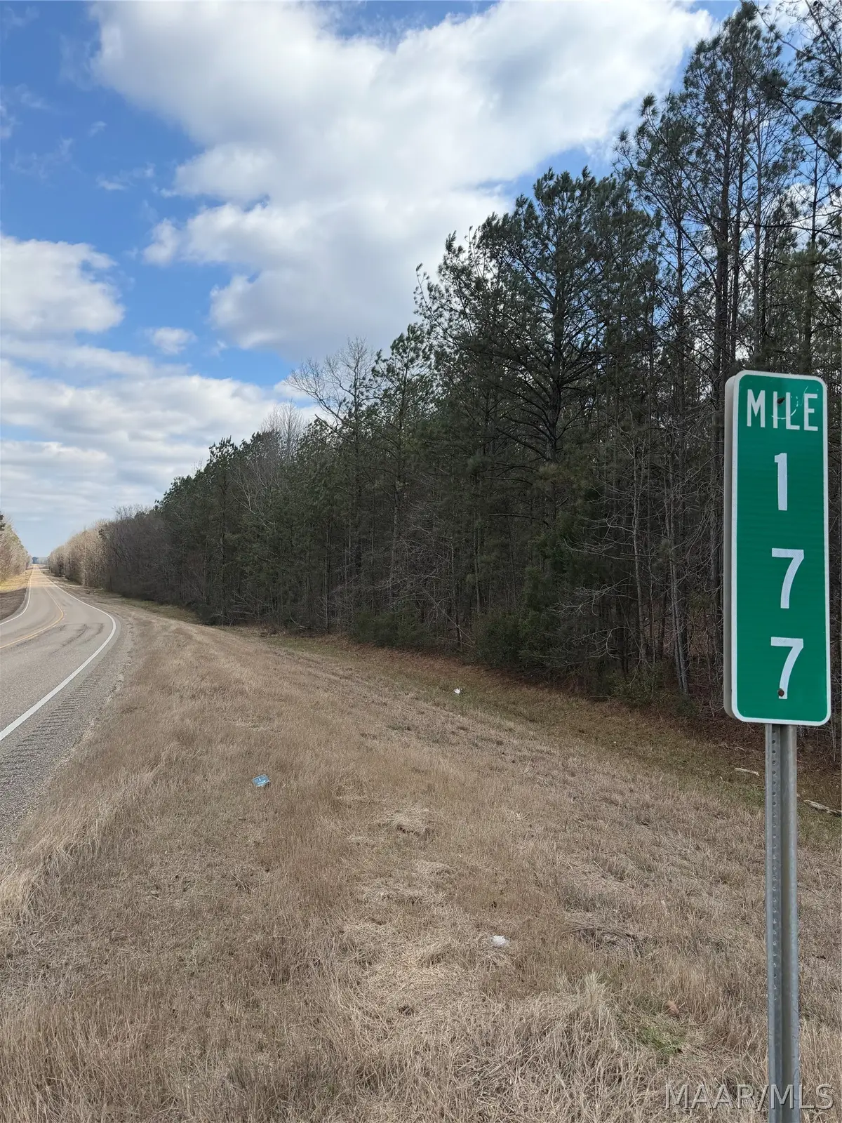 20 Highway 82, Mathews, AL 36052 - #1