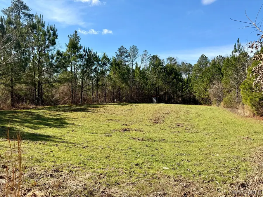 000 Coosa County Road 14 Road, Equality, AL 36026 - #2