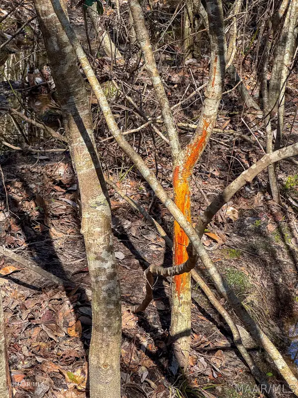 0 County Road 56, Thomasville, AL 36784