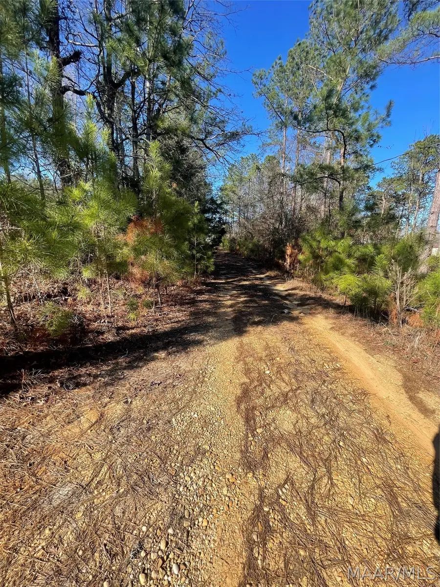 0 County Rd 9 Acres, Franklin, AL 36083 - #3