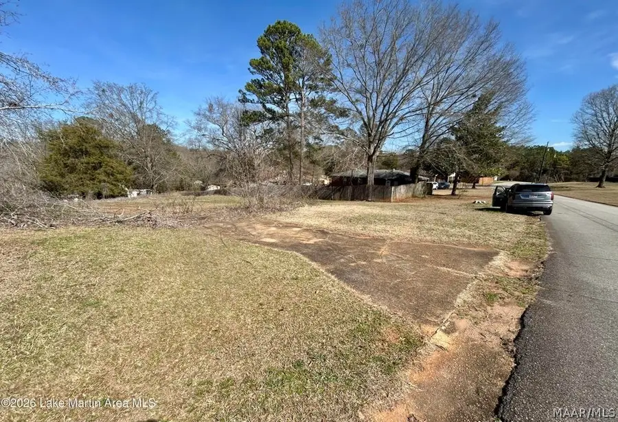 198 Mckelvey Street, Dadeville, AL 36853 - #2