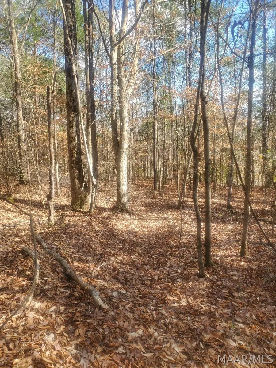 0 County Road 4, Greensboro, AL 36744 - #3