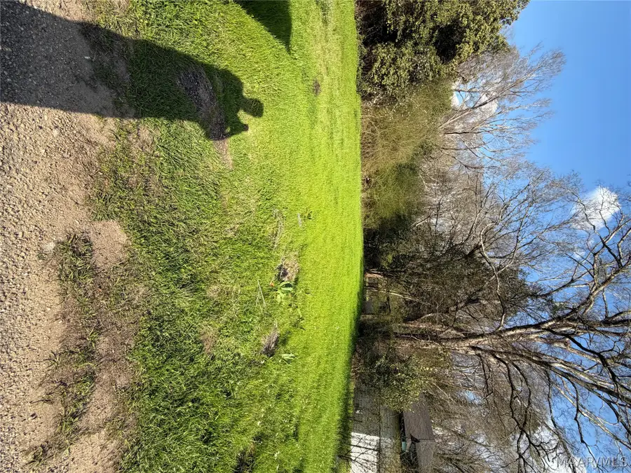 117 Wilson Street, Selma, AL 36701 - #3