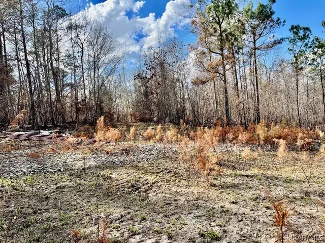 1 Union Road, Eclectic, AL 36024 - #2