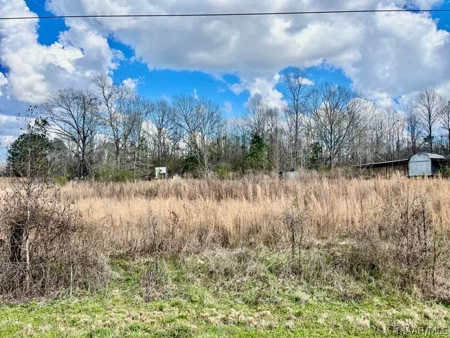 1 Union Road, Eclectic, AL 36024 - #3