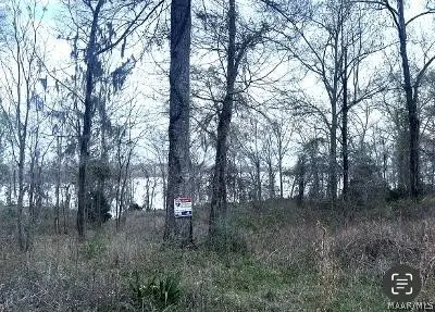 13 Riverview Landing Drive #13, Camden, AL 36726 - #1