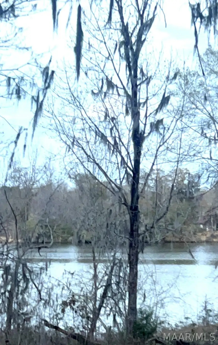 13 Riverview Landing Drive #13, Camden, AL 36726 - #2